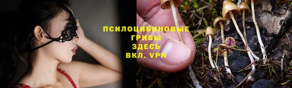 прущие грибы Козельск