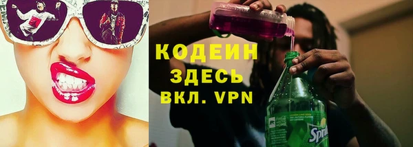 прущие грибы Козельск
