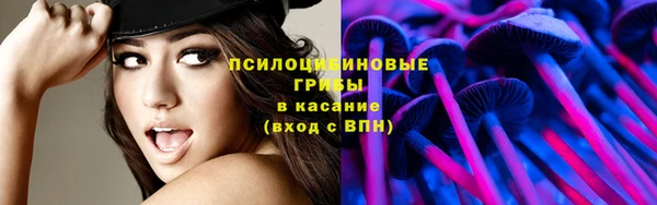 прущие грибы Козельск