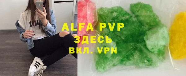 прущие грибы Козельск