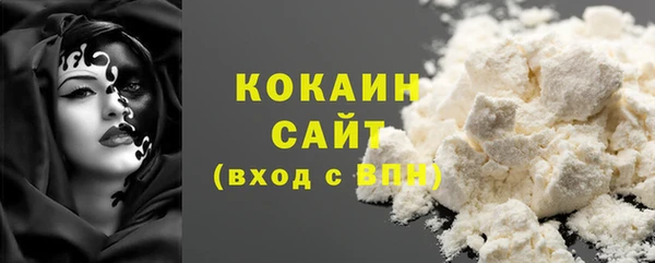 прущие грибы Козельск