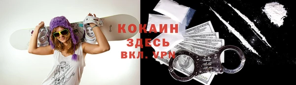 прущие грибы Козельск