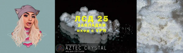 прущие грибы Козельск