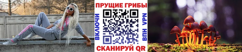 Галлюциногенные грибы Psilocybine cubensis  МЕГА ONION  Химки 